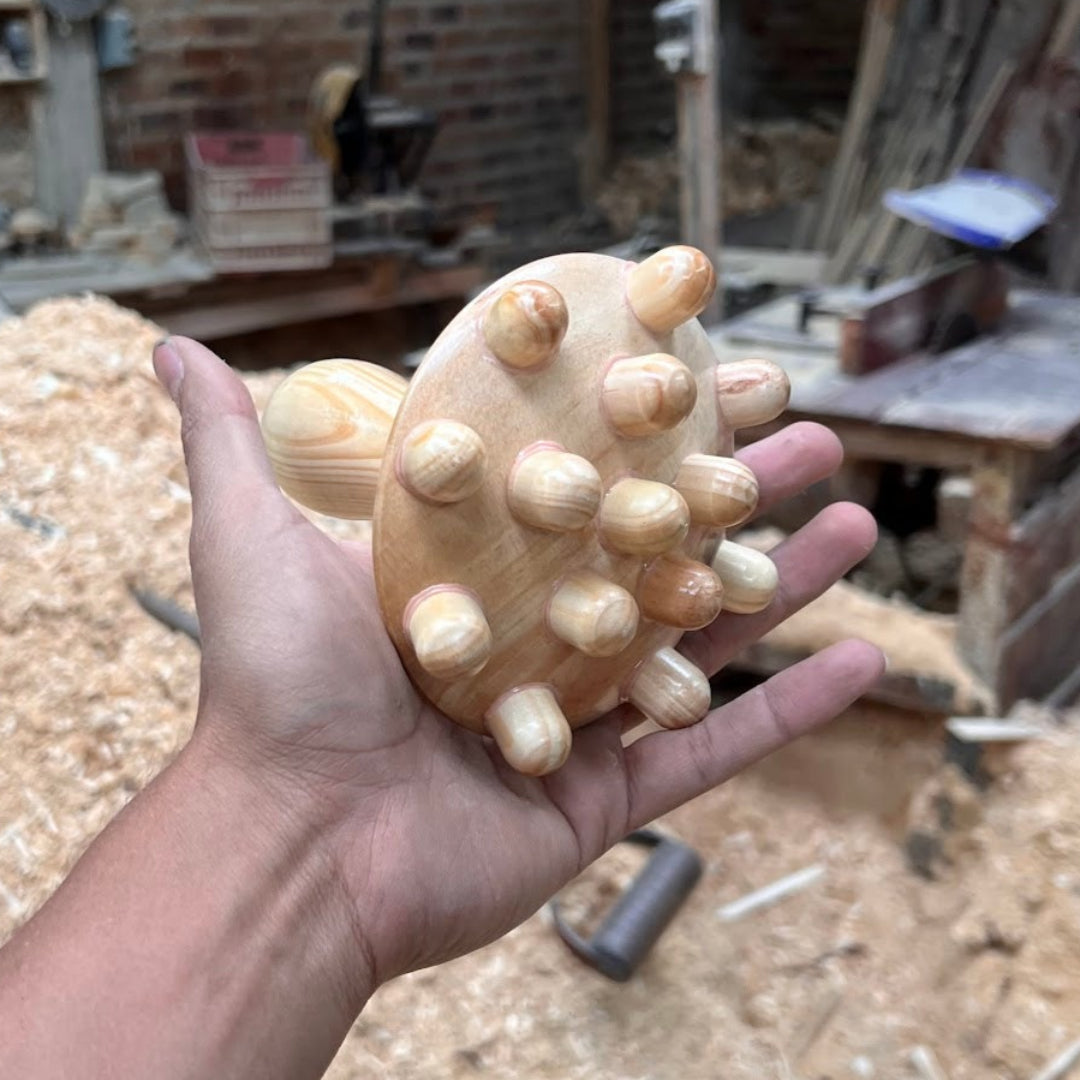 Champiñon 14 puntas