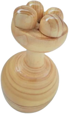 Copa Sueca Champiñona